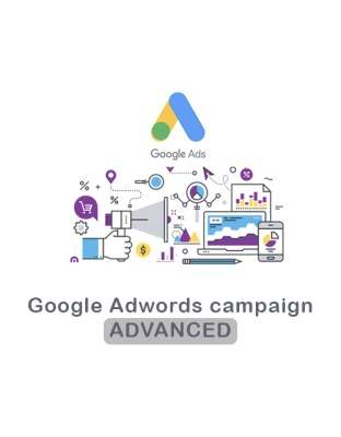 Google Ads ADVANCED